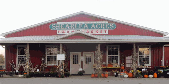 Shearlea Acres Farm Market